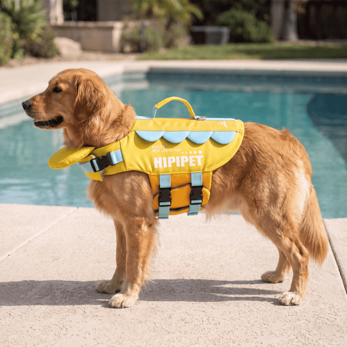 HipiPet Head-Float Dog Life Jacket