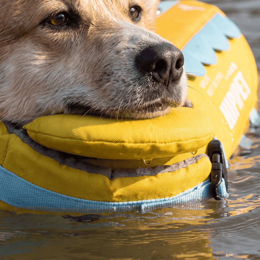 HipiPet Head-Float Dog Life Jacket