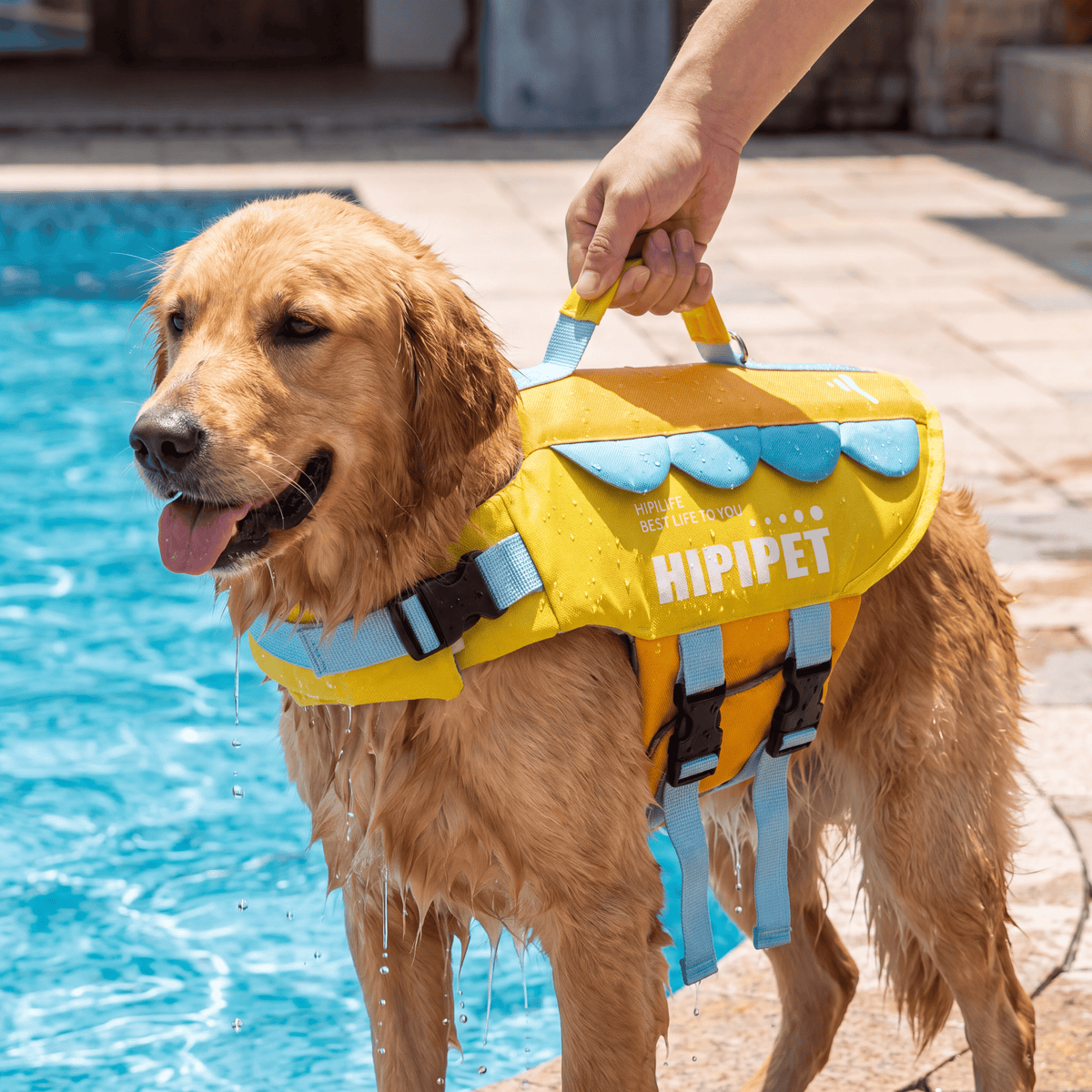 HipiPet Head-Float Dog Life Jacket