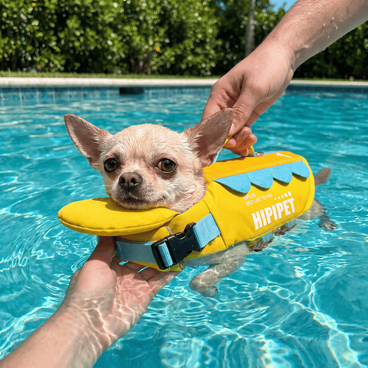 HipiPet Head-Float Dog Life Jacket